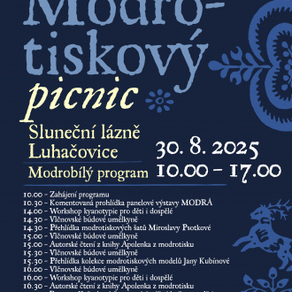 PLAKAT PICNIC MODROTISK