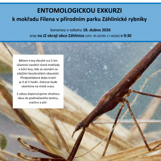 001_Ento_exk_mokrad_Filena
