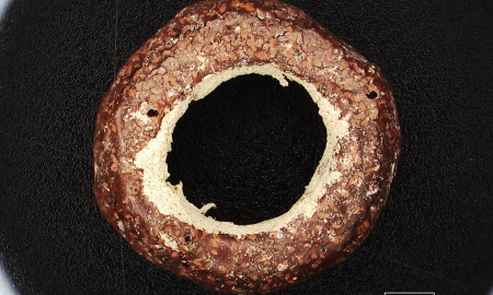 JANTAR V ARCHEOLOGICKÝCH NÁLEZECH