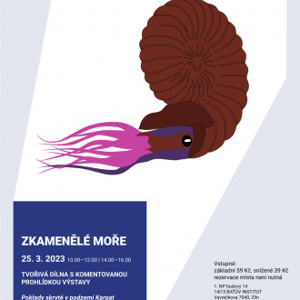 A3_zkamenělé moře