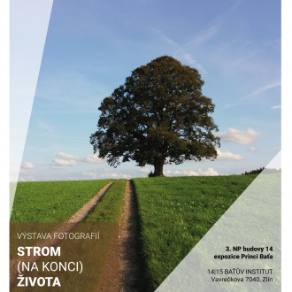 A1_Strom (na konci) života_FINAL
