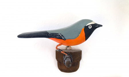 DNY PTAČÍHO ZPĚVU