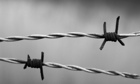 PŘÍBĚHY PŘEŽIVŠÍCH