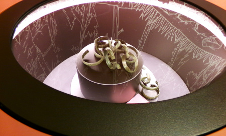 OTEVŘI ZEM, ODKRYJ ČAS